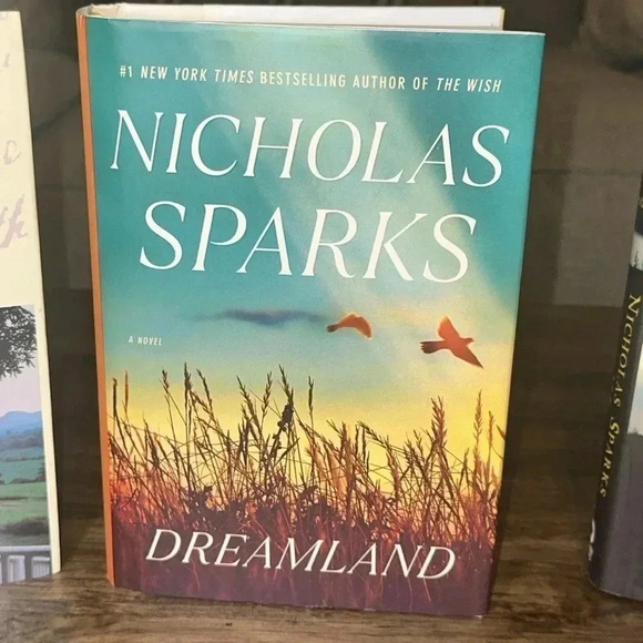 Nicholas Sparks Best Selling Author Bundle of Books Hardcover Lot of 3 - Picture 3 of 10